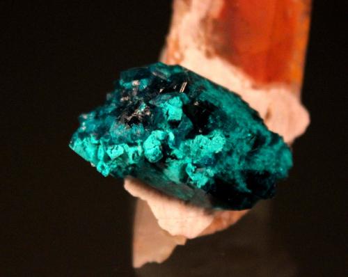 Dioptase, Quartz<br />Namibia<br />51mm x 30mm<br /> (Author: Don Lum)