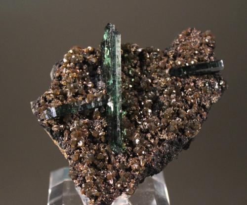 Vivianite<br />Mina Huanuni, Huanuni, Provincia Dalence, Departamento Oruro, Bolivia<br />65mm x 54mm<br /> (Author: Don Lum)