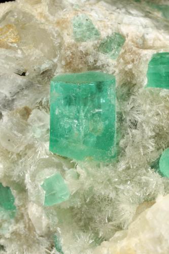 Beryl (variety emerald), Calcite, Aragonite<br />Chivor mining district, Municipio Chivor, Eastern Emerald Belt, Boyacá Department, Colombia<br />75x63x64mm, main xl=11x9mm<br /> (Author: Fiebre Verde)