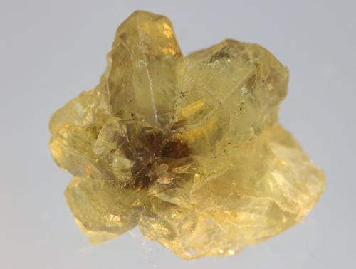 Crisoberilo<br />Colatina, Espirito Santo, Región Sudeste, Brasil<br />20x20 mm<br /> (Autor: Ramon A  Lopez Garcia)