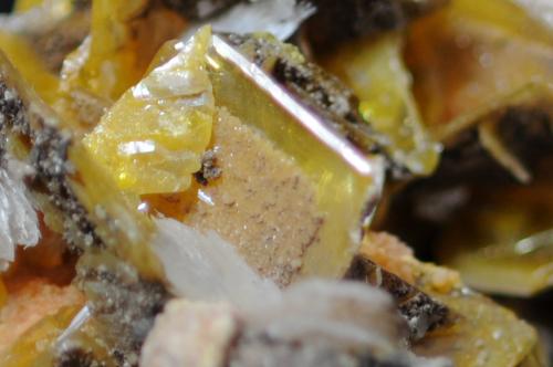 Barite on Wulfenite and Mimetite<br />San Francisco Mine, Cerro Prieto, Cucurpe, Municipio Cucurpe, Sonora, Mexico<br />5.7 x 4.6 x 3.4 cm<br /> (Author: steven calamuci)