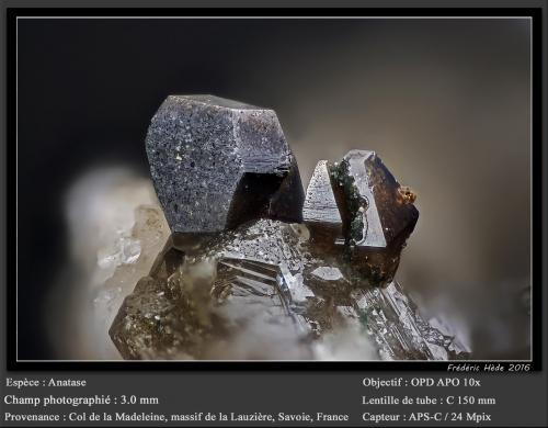 Anatase<br />Col de la Madeleine, Macizo La Lauzière, Saint-Jean-de-Maurienne, Saboya, Auvergne-Rhône-Alpes, Francia<br />fov 3.0 mm<br /> (Author: ploum)