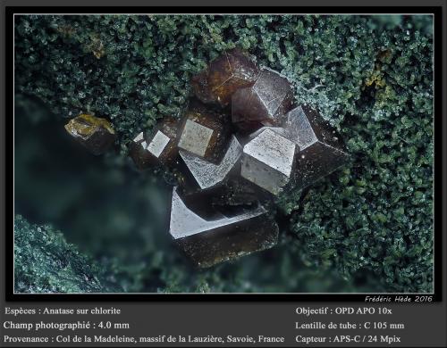 Anatase<br />Col de la Madeleine, Macizo La Lauzière, Saint-Jean-de-Maurienne, Saboya, Auvergne-Rhône-Alpes, Francia<br />fov 4.0 mm<br /> (Author: ploum)
