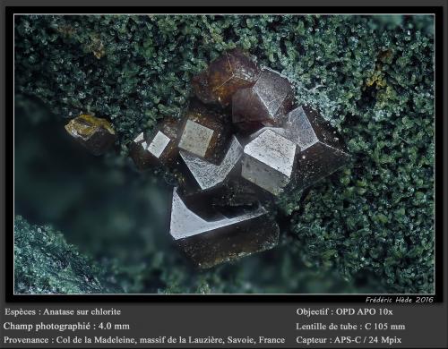 Anatase<br />Col de la Madeleine, La Lauzière Massif, Saint-Jean-de-Maurienne, Savoie, Auvergne-Rhône-Alpes, France<br />fov 4.0 mm<br /> (Author: ploum)