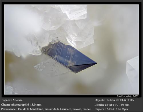 Anatase<br />Col de la Madeleine, Macizo La Lauzière, Saint-Jean-de-Maurienne, Saboya, Auvergne-Rhône-Alpes, Francia<br />fov 3.0 mm<br /> (Author: ploum)