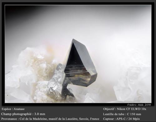 Anatase<br />Col de la Madeleine, Macizo La Lauzière, Saint-Jean-de-Maurienne, Saboya, Auvergne-Rhône-Alpes, Francia<br />fov 3.0 mm<br /> (Author: ploum)