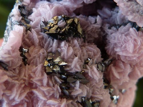 Tetrahedrita<br />Quiruvilca Mine (La Libertad Mine), Quiruvilca District, Santiago de Chuco Province, La Libertad Department, Peru<br />7 x 5 cm<br /> (Autor: nerofis2)