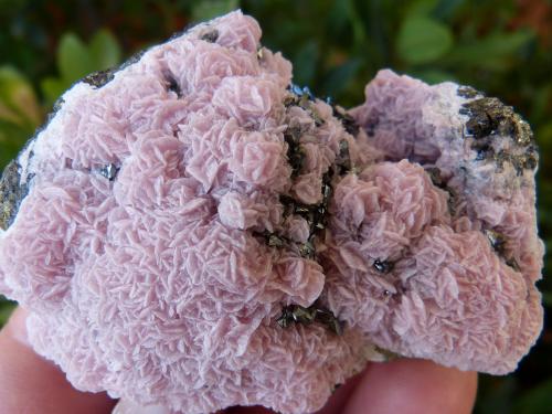 Tetrahedrita<br />Quiruvilca Mine (La Libertad Mine), Quiruvilca District, Santiago de Chuco Province, La Libertad Department, Peru<br />7 x 5 cm<br /> (Autor: nerofis2)