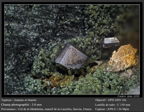 Anatase<br />Col de la Madeleine, Macizo La Lauzière, Saint-Jean-de-Maurienne, Saboya, Auvergne-Rhône-Alpes, Francia<br />fov 3.0 mm<br /> (Author: ploum)