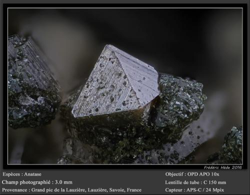 Anatase<br />Grand Pic de la Lauzière, Macizo La Lauzière, Saint-Jean-de-Maurienne, Saboya, Auvergne-Rhône-Alpes, Francia<br />fov 3.0 mm<br /> (Author: ploum)
