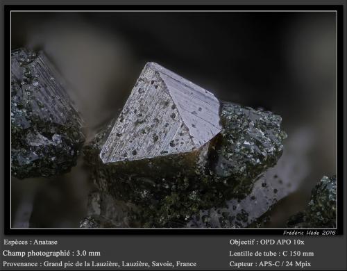 Anatase<br />Grand Pic de la Lauzière, La Lauzière Massif, Saint-Jean-de-Maurienne, Savoie, Auvergne-Rhône-Alpes, France<br />fov 3.0 mm<br /> (Author: ploum)