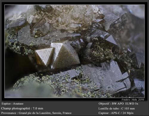 Anatase<br />Grand Pic de la Lauzière, Macizo La Lauzière, Saint-Jean-de-Maurienne, Saboya, Auvergne-Rhône-Alpes, Francia<br />fov 7 mm<br /> (Author: ploum)