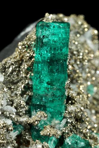 Beryl (variety emerald), Albite (variety cleavelandite), Pyrite<br />Chivor mining district, Palo Arañado Mine, Municipio Chivor, Eastern Emerald Belt, Boyacá Department, Colombia<br />38x35x18mm, largest xl=20mm<br /> (Author: Fiebre Verde)