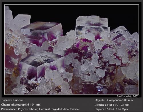 Fluorite<br />Puy-Saint-Gulmier, Saint-Ours, Riom, Puy-de-Dôme Department, Auvergne-Rhône-Alpes, France<br />fov 14 mm<br /> (Author: ploum)