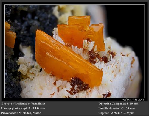 Wulfenite and Vanadinite<br />Mibladen (Mibladen mining district), Midelt, Midelt Province, Drâa-Tafilalet Region, Morocco<br />fov 14 mm<br /> (Author: ploum)