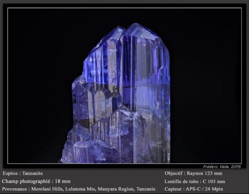 Tanzanite<br />Merelani Hills, Lelatema Mountains, Simanjiro District, Manyara Region, Tanzania<br />fov 18 mm<br /> (Author: ploum)