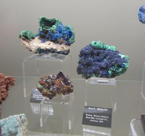 Azurite, malachite<br />Bisbee, Warren District, Mule Mountains, Cochise County, Arizona, USA<br />5 - 10 cm<br /> (Author: Tobi)