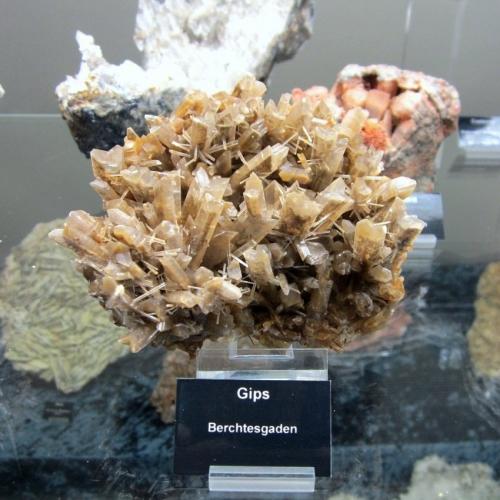 Gypsum<br />Berchtesgaden, Berchtesgadener Land, Oberbayern, Bavaria/Bayern, Germany<br />~ 11 cm<br /> (Author: Tobi)