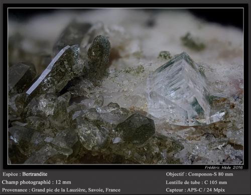 Bertrandite<br />Grand Pic de la Lauzière, La Lauzière Massif, Saint-Jean-de-Maurienne, Savoie, Auvergne-Rhône-Alpes, France<br />fov 12 mm<br /> (Author: ploum)