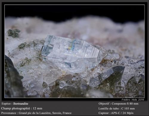 Bertrandite<br />Grand Pic de la Lauzière, La Lauzière Massif, Saint-Jean-de-Maurienne, Savoie, Auvergne-Rhône-Alpes, France<br />fov 12 mm<br /> (Author: ploum)