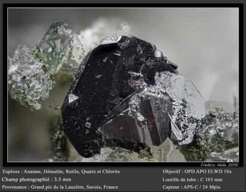 Anatase on Hematite with Rutile, Quartz and Chlorite<br />Grand Pic de la Lauzière, Macizo La Lauzière, Saint-Jean-de-Maurienne, Saboya, Auvergne-Rhône-Alpes, Francia<br />fov 3.5 mm<br /> (Author: ploum)