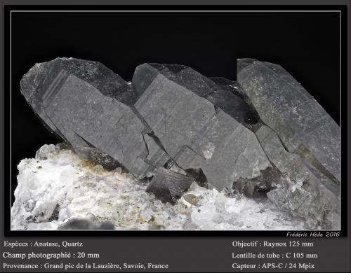 Anatase and Quartz<br />Grand Pic de la Lauzière, Macizo La Lauzière, Saint-Jean-de-Maurienne, Saboya, Auvergne-Rhône-Alpes, Francia<br />fov 20 mm<br /> (Author: ploum)