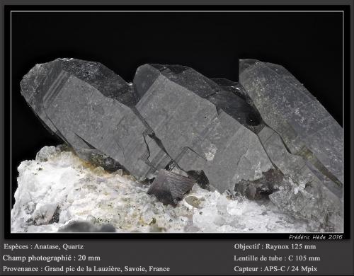 Anatase and Quartz<br />Grand Pic de la Lauzière, La Lauzière Massif, Saint-Jean-de-Maurienne, Savoie, Auvergne-Rhône-Alpes, France<br />fov 20 mm<br /> (Author: ploum)