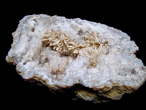 Aragonite on Quartz<br />Condado Monroe, Indiana, USA<br />oval geode is 12cm x 7cm.    The aragonite sprays range from 1.3cm to 3.5cm<br /> (Author: Bob Harman)