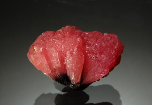 Elbaite<br />Momeik, Distrito Kyaukme, Estado Shan, Myanmar (Burma)<br />1.5 x 2.2 cm<br /> (Author: crosstimber)