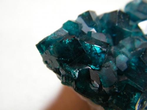 Dioptase<br />Tsumeb Mine, Tsumeb, Otjikoto Region, Namibia<br />35mmx30mmx25mm<br /> (Author: Heimo Hellwig)