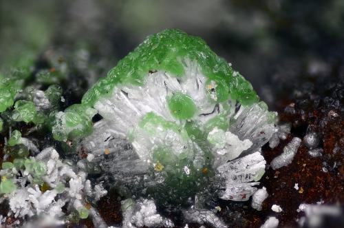 Mimetita pseudomórfica Wulfenita, Duftita<br />Mina Las Cocotas, Tíjola, Comarca Valle del Almanzora, Almería, Andalucía, España<br />Campo de visión 2 mm.<br /> (Autor: Juan Miguel)