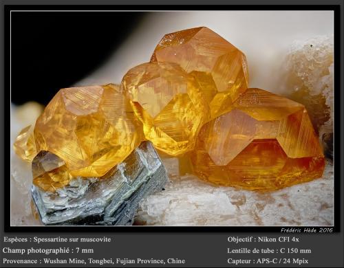 Spessartine<br />Catas Spessartina Wushan, Tongbei, Yunxiao, Prefectura Zhangzhou, Provincia Fujian, China<br />fov 7 mm<br /> (Author: ploum)