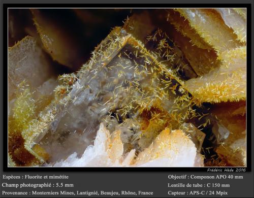 Fluorite and Mimetite<br />Monterniers Mines, Lantignié, Villefranche-sur-Saône, Rhône, Auvergne-Rhône-Alpes, France<br />fov 5.5 mm<br /> (Author: ploum)
