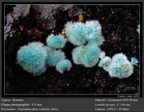 Rosasite<br />Esperanza Mine, Lavrion, Lavrion Mining District, Attikí (Attica) Prefecture, Greece<br />fov 5.5 mm<br /> (Author: ploum)