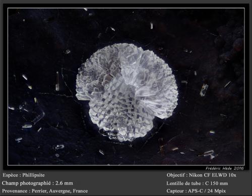 Phillipsite<br />Perrier, Issoire District, Puy-de-Dôme Department, Auvergne-Rhône-Alpes, France<br />fov 2.6 mm<br /> (Author: ploum)