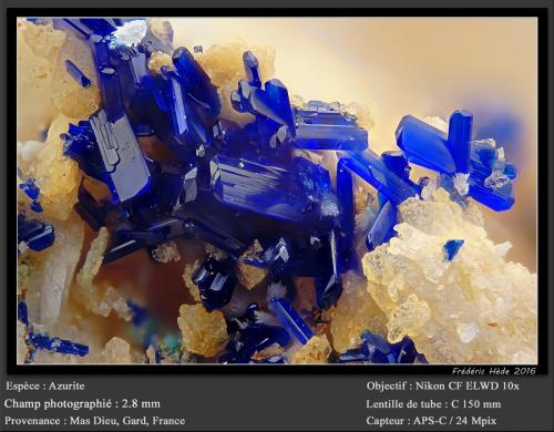 Azurite<br />Mas Dieu, Mercoirol, Alès, Gard, Occitanie, Francia<br />fov 2.8 mm<br /> (Author: ploum)