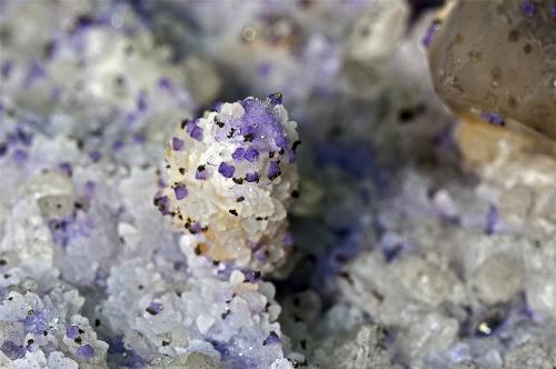 Quartz (variety smoky quartz), Fluorite, Calcite, Marcasite<br />Francon Quarry, Montréal, St. Michel District, Jacques Cartier County, Québec, Canada<br /><br /> (Author: am mizunaka)