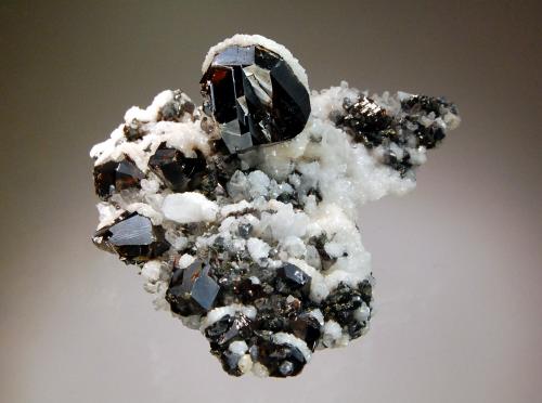 Sphalerite<br />Zona minera Cavnic, Cavnic, Maramures, Rumanía<br />6.0 x 7.5 cm<br /> (Author: crosstimber)