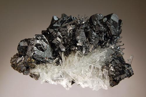 Sphalerite<br />Borieva Mine, Madan mining area, Rhodope Mountains, Smolyan Oblast, Bulgaria<br />8.0 x 9.0 cm<br /> (Author: crosstimber)