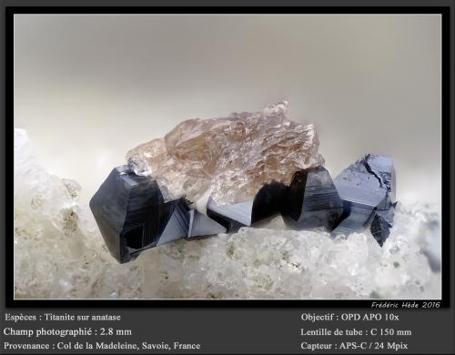 Titanite on Anatase<br />Col de la Madeleine, Macizo La Lauzière, Saint-Jean-de-Maurienne, Saboya, Auvergne-Rhône-Alpes, Francia<br />fov 3 mm<br /> (Author: ploum)