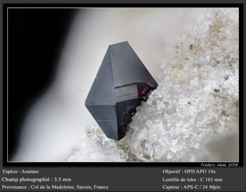 Anatase<br />Col de la Madeleine, Macizo La Lauzière, Saint-Jean-de-Maurienne, Saboya, Auvergne-Rhône-Alpes, Francia<br />fov 3.5 mm<br /> (Author: ploum)