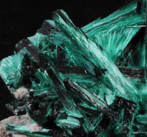 Brochantite<br />Milpillas Mine, Cuitaca, Municipio Santa Cruz, Sonora, Mexico<br />3.5 x 3.3 x 2.0 cm<br /> (Author: steven calamuci)