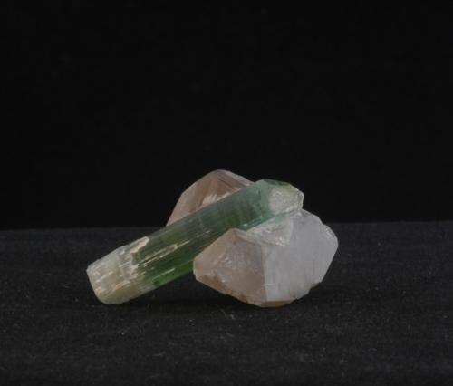 Tourmaline and Quartz<br />Pegmatita Dara-i-Pech, Distrito Chapa Dara, Provincia Kunar (Konar), Afganistán<br />3.1 x 2.8 x  2.5 cm<br /> (Author: steven calamuci)