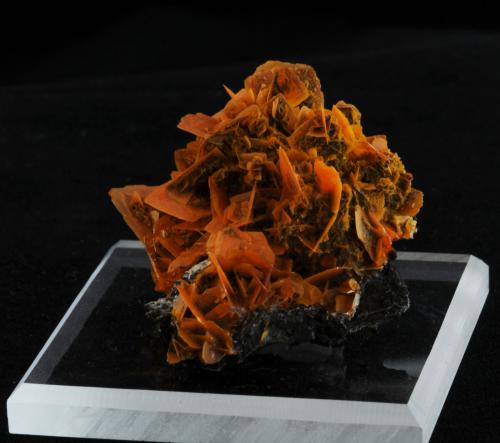 Wulfenite<br />Jianshan Mine, Ruoqiang, Bayin'gholin Autonomous Prefecture, Xinjiang Uyghur Autonomous Region, China<br />4.8 x 4.1 x 2.6 cm<br /> (Author: steven calamuci)