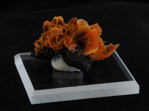 Wulfenite<br />Jianshan Mine, Ruoqiang, Bayin'gholin Autonomous Prefecture, Xinjiang Uyghur Autonomous Region, China<br />4.8 x 4.1 x 2.6 cm<br /> (Author: steven calamuci)