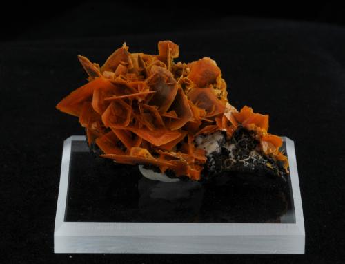 Wulfenite<br />Jianshan Mine, Ruoqiang, Bayin'gholin Autonomous Prefecture, Xinjiang Uyghur Autonomous Region, China<br />4.8 x 4.1 x 2.6 cm<br /> (Author: steven calamuci)
