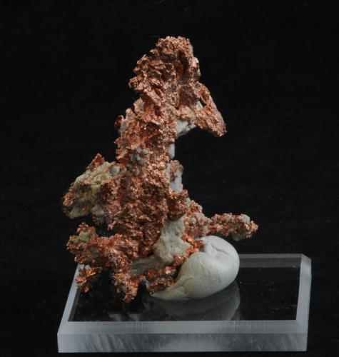 Copper<br />Morenci Mine, Morenci, Copper Mountain District, Shannon Mountains, Greenlee County, Arizona, USA<br />5.6 x 4.1 cm<br /> (Author: steven calamuci)