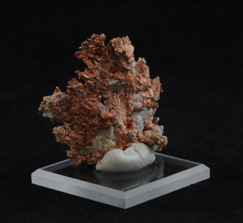 Copper<br />Morenci, Copper Mountain District, Shannon Mountains, Greenlee County, Arizona, USA<br />5.6 x 4.1 cm<br /> (Author: steven calamuci)