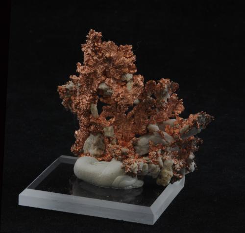 Copper<br />Morenci Mine, Morenci, Copper Mountain District, Shannon Mountains, Greenlee County, Arizona, USA<br />5.6 x 4.1 cm<br /> (Author: steven calamuci)