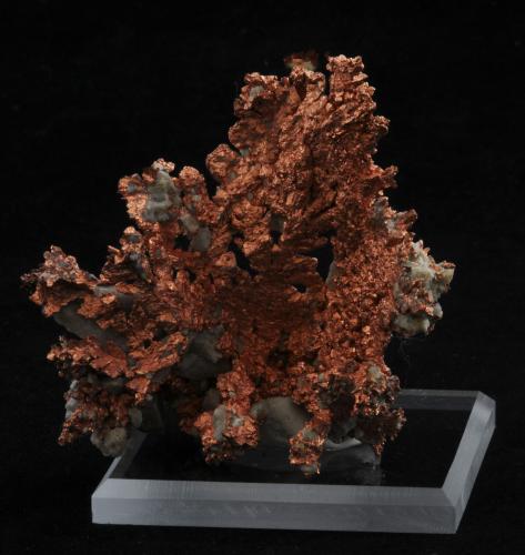 Copper<br />Morenci Mine, Morenci, Copper Mountain District, Shannon Mountains, Greenlee County, Arizona, USA<br />5.6 x 4.1 cm<br /> (Author: steven calamuci)